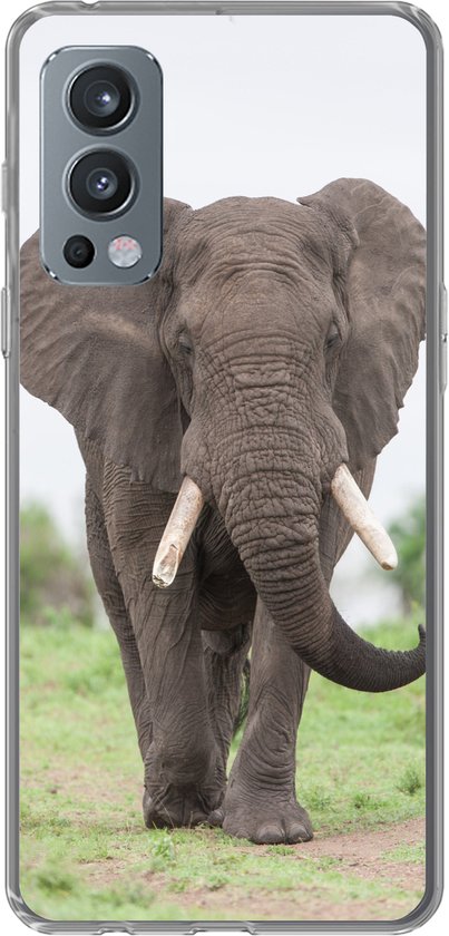 Coque OnePlus Nord 2 5G – Éléphant Oncoming – Coque de téléphone en Siliconen