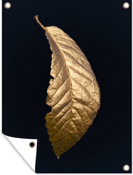 Décoration de Jardin Feuilles – Luxe – Goud – Zwart – Nature – 30×40 cm – Toile de jardin – Affiche extérieure