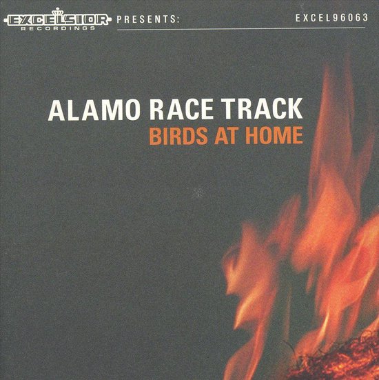 Birds At Home
