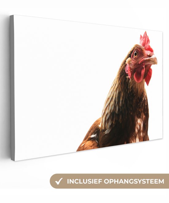 Coq devant toile fond blanc 2cm 180×120 cm – Tirage photo sur Toile (Décoration murale salon / chambre) / Animaux sauvages Peintures sur toile XXL / Groot format!