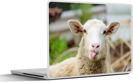 Autocollant pour ordinateur portable – 11,6 pouces – Moutons – Animaux – Laine – 30x21cm – Autocollants pour ordinateur portable – Skin pour ordinateur portable – Housse