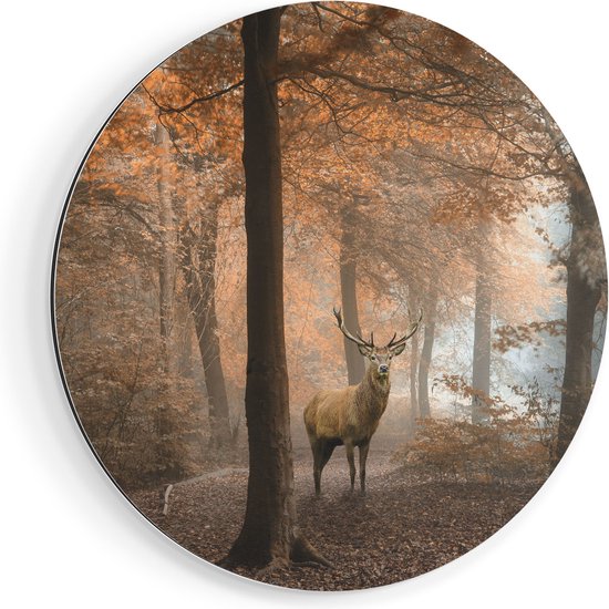 Cercle Mural Artaza Dibond – Cerf Dans La Forêt – Automne – Ø 40 cm – Klein – Cercle Mural – Tableau Rond – Pour Intérieur et Extérieur