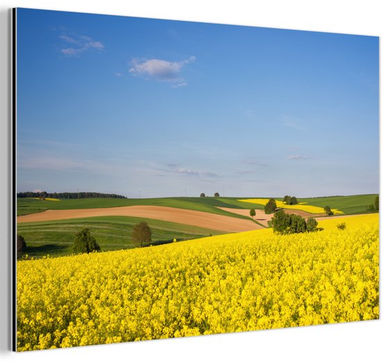 Décoration murale Métal – Peinture Aluminium Industriel – Printemps – Fleurs – Jaune – 30×20 cm – Dibond – Photo sur aluminium – Décoration murale industrielle – Pour le salon/chambre