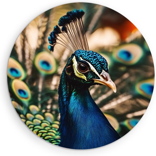 Cercle mural Saammp Forex – Paon en gros plan – Fleurs – Animaux – Nature – Ø 50 – Cercle mural – Cercle de Décoration murale – Décoration murale Salon – Décoration de chambre – Peinture ronde