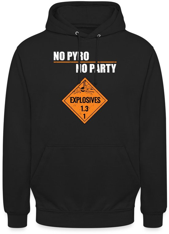 Feu d&rsquo;artifice No Pyro No Party Hoodie Unisexe